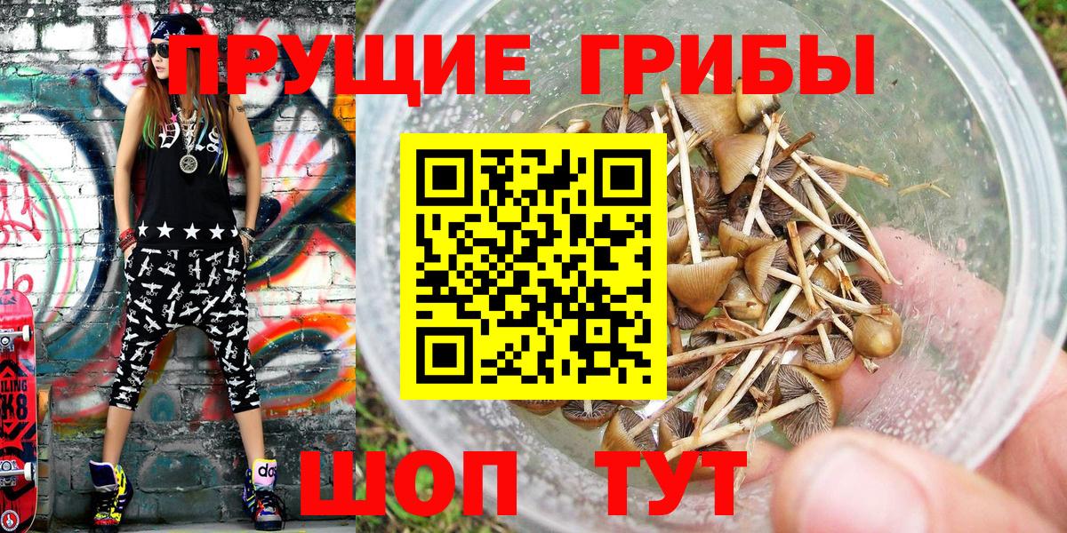 Псилоцибиновые грибы Cubensis  Вход с VPN  Чистополь  Псилоцибиновые грибы MAGIC MUSHROOMS 