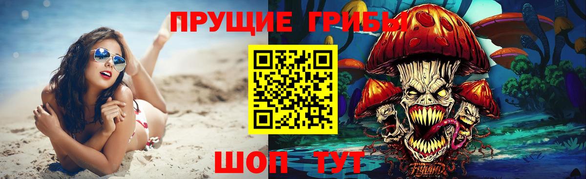 Псилоцибиновые грибы Psilocybine cubensis Чистополь