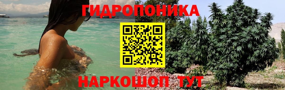 Каннабис MAZAR  Вход с VPN  МАРИХУАНА сатива  Каннабис OG Kush  Чистополь 